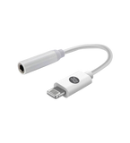 Lightning Audio Adapter (AUX)